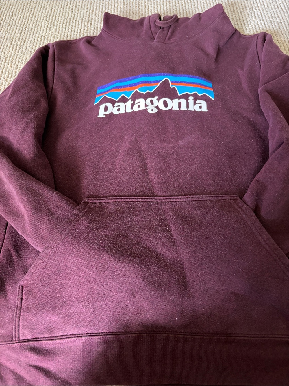 Patagonia Maroon Pullover Hoodie with Mountain Logo